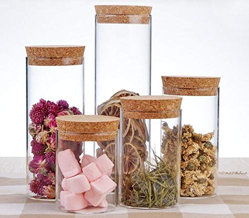 Xingzi Kitchen Storage Containers With Cork Lids Set Of 2 300Ml/10Oz Durable Refillable Clear Glass Food Canisters Storage Conta