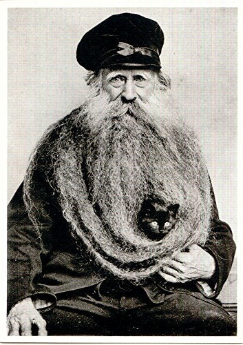 Lone Star Art Quirky Kitten Hiding In Old Mans Giant Beard Bizarre Strange Weird Vintage Photo - 11X14 Unframed Print - Perfect