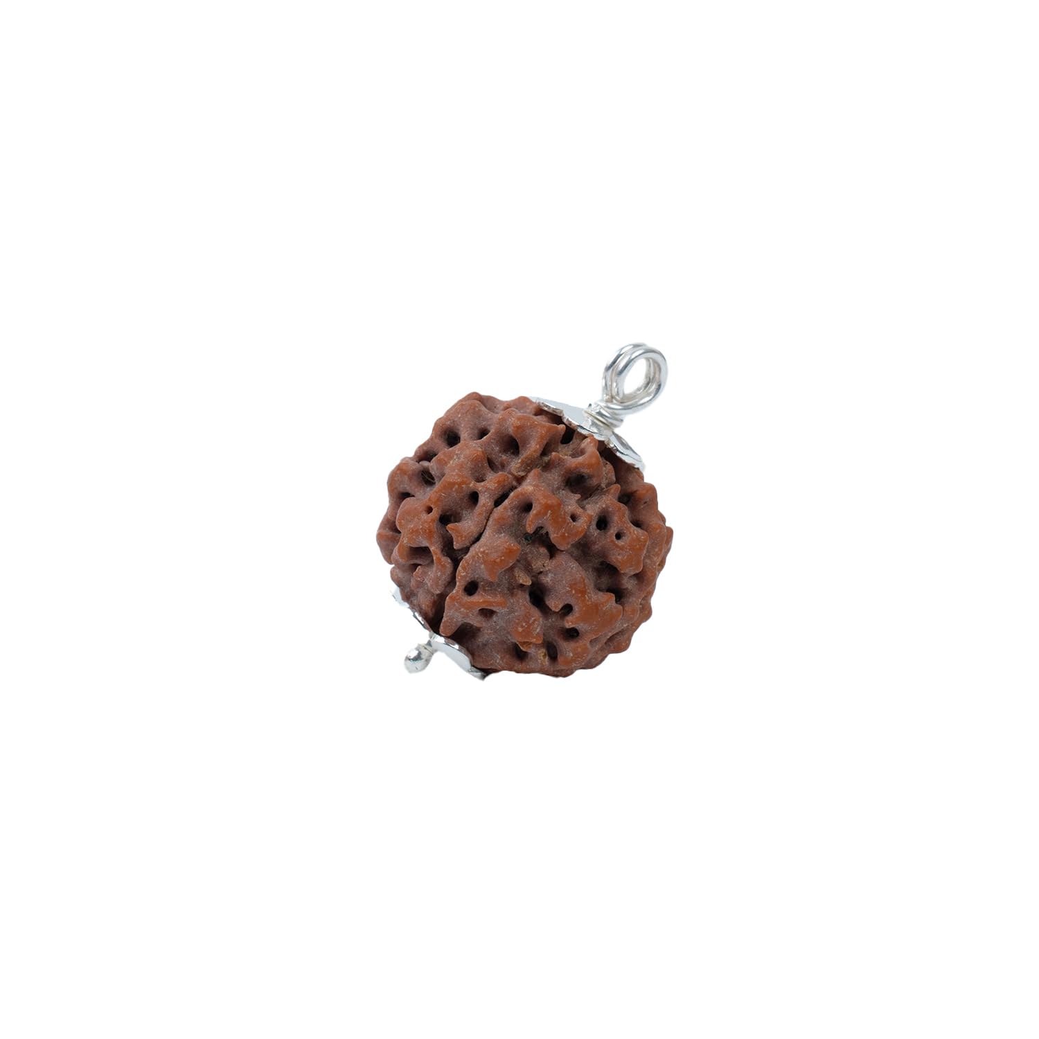 Astrotalk Nepal Origin 4 Mukhi Rudraksha with Silver-Capping | Boost Creativity & Intellectual Growth | Clarity, Confidence & Self-Expression | Sacred Rudraksha Bead for Women & Men