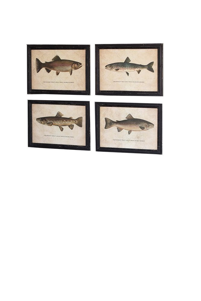 SET OF FOUR TROUT PRINTS UNDER GLASS