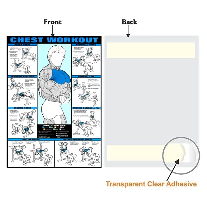 Pixelartz Paper Wall Poster Motivational Workout And Exercises Illustrations Bodybuilding Gym Posters Hd Quality Posters For Hom