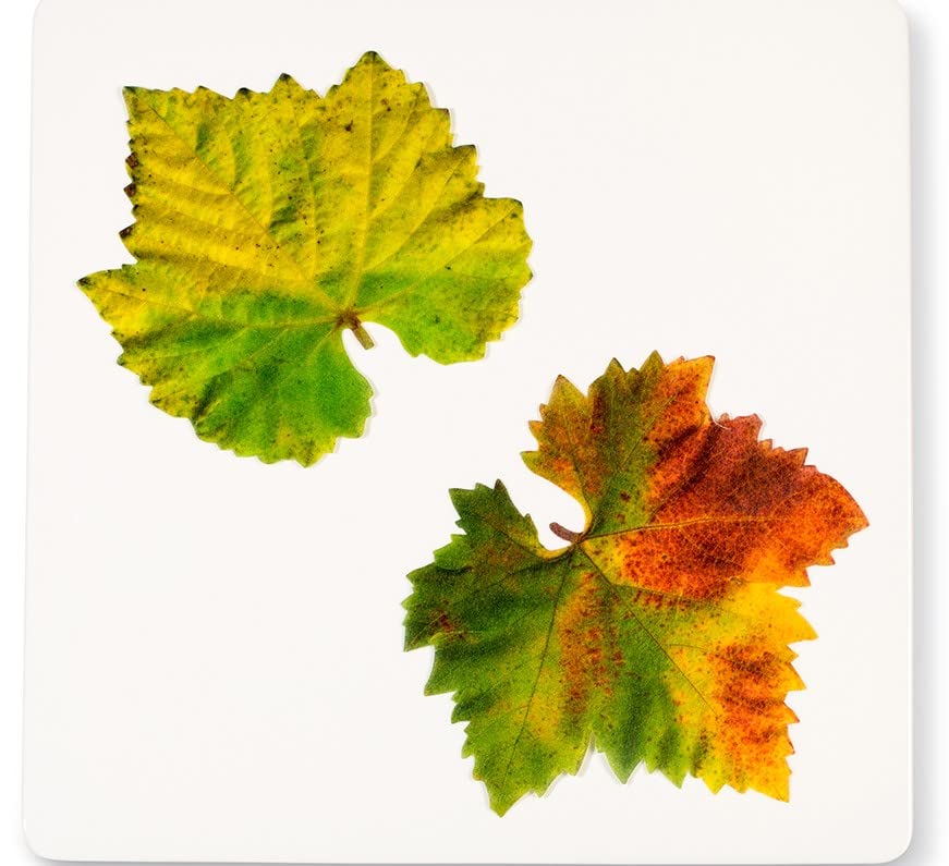 Sisson Distribution Parchment Paper Leaves for Charcuterie Boards - Pack of 20, French Parchment, Grape Variety, 7.8" x 8.5"