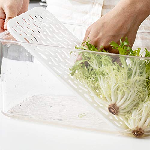 Slideep Refrigerator Food Storage Containers, Produce Saver Stackable Container With Lids & Removable Drain Tray, Freezer Bins S