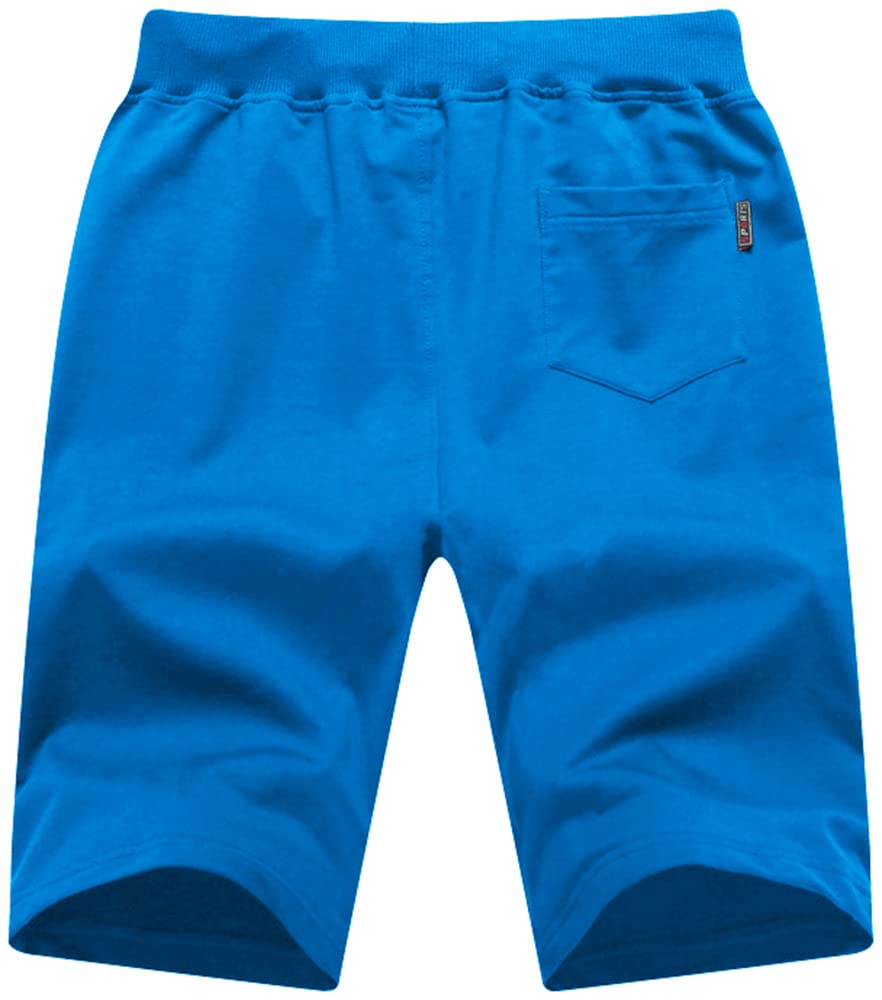 Qpngrp Mens Casual Stretch Shorts Zipper Pockets Elastic Waist Lakeblue 42