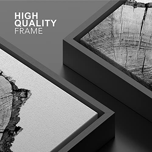 Signwin Framed Canvas Print Wall Art Detailed Wood Rings Of Tree Nature Wilderness Photography Realism Rustic Dramatic Grey Blac