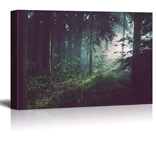 Wall26 Canvas Print Wall Art Sunlight Passing Through Green Forest Nature Wilderness Photography Modern Art Rustic Scenic Colorf