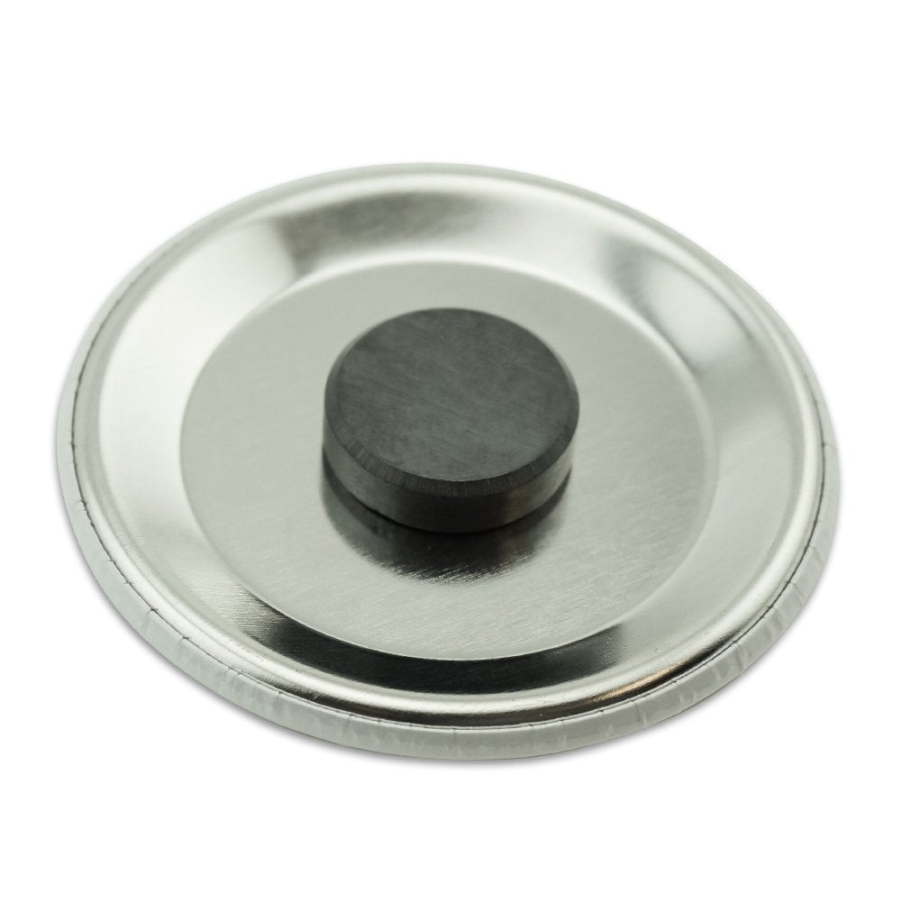 Looney Tunes Tweety Bird Kitchen Refrigerator Locker Button Magnet