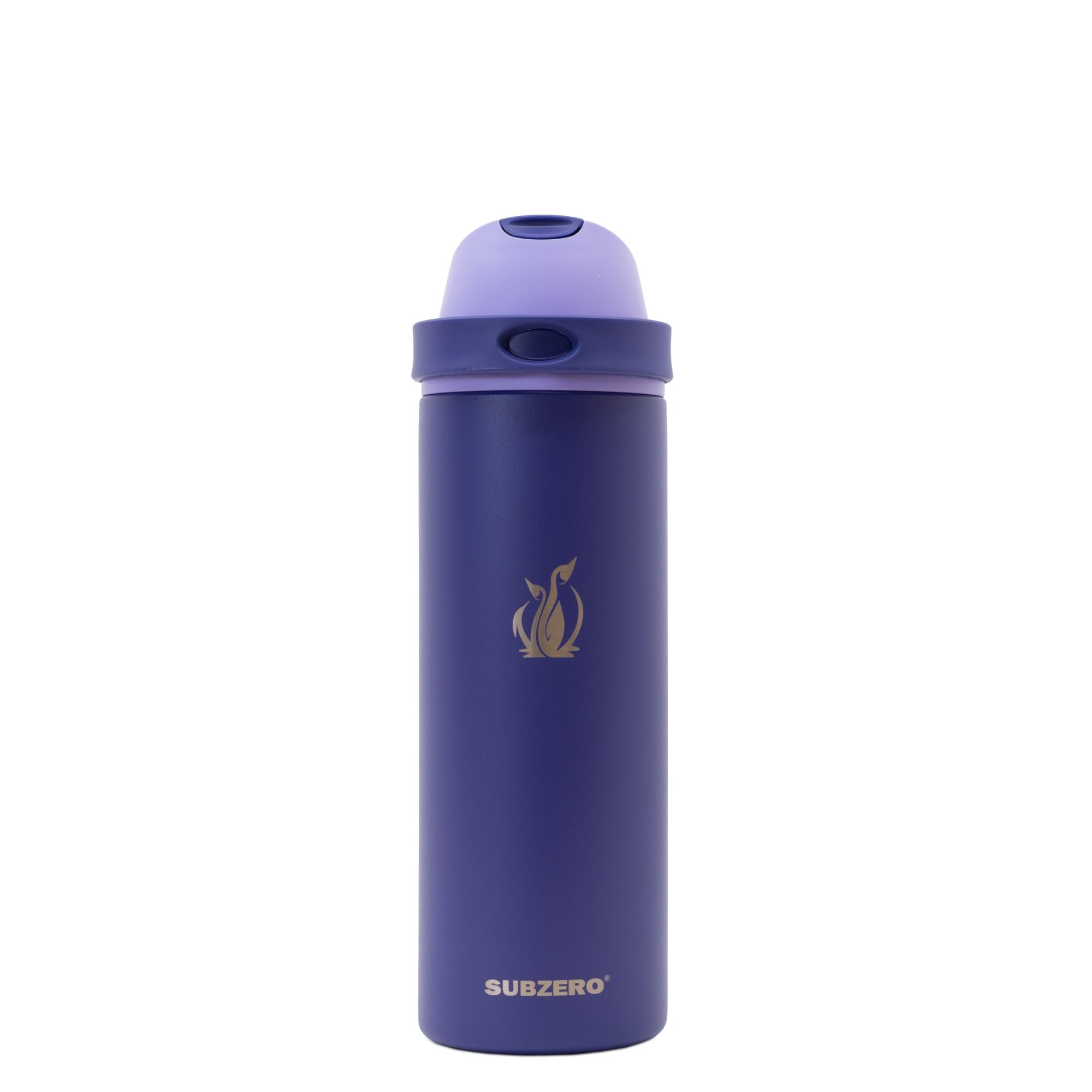 SUBZERO DUO 24 Ounce Water Bottle With Straw, Imperial, Triple Layer Vacuum Insulated Stainless Steel, Leak Proof, Dishwasher Sa