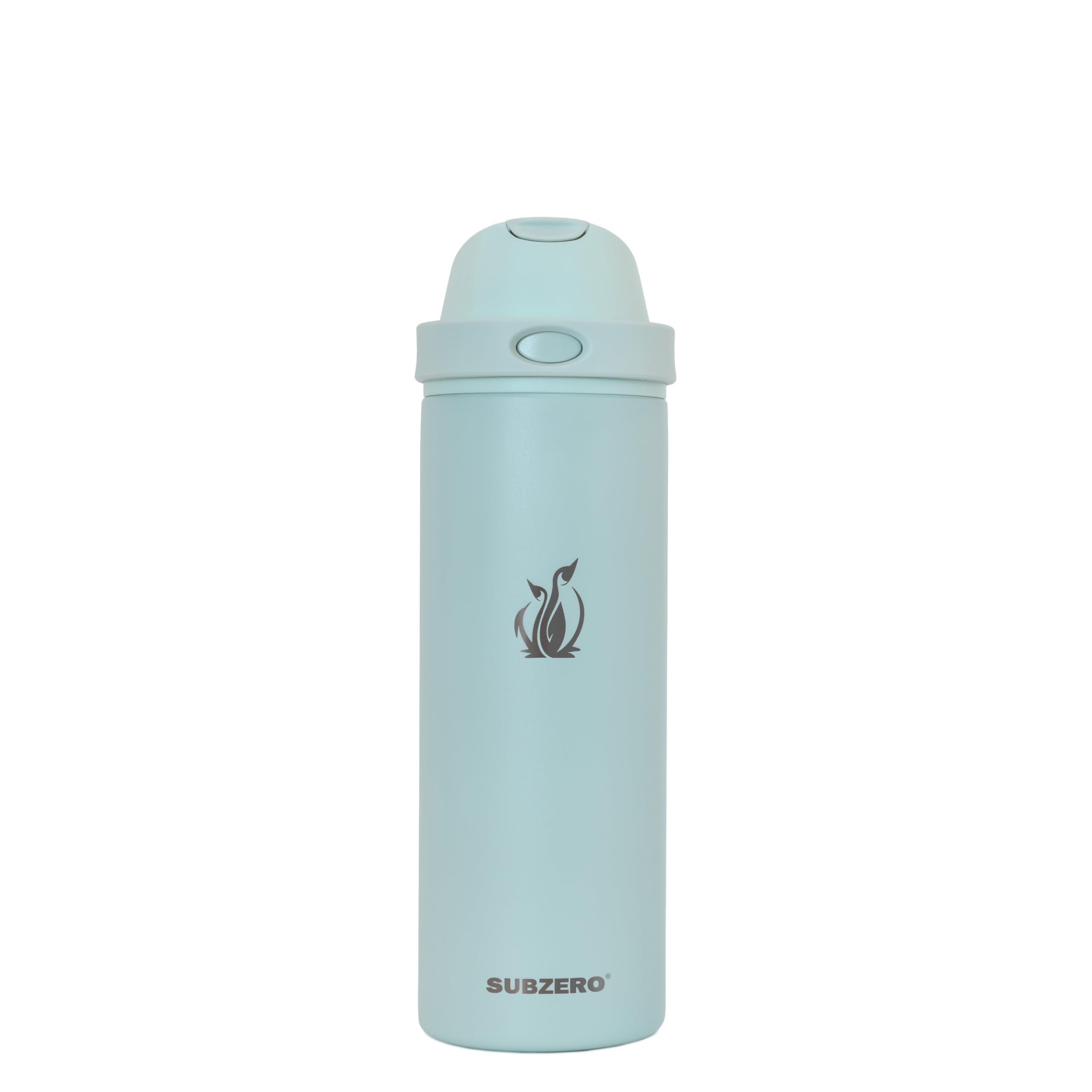 SUBZERO DUO 24 Ounce Water Bottle With Straw, Matcha, Triple Layer Vacuum Insulated Stainless Steel, Leak Proof, Dishwasher Safe