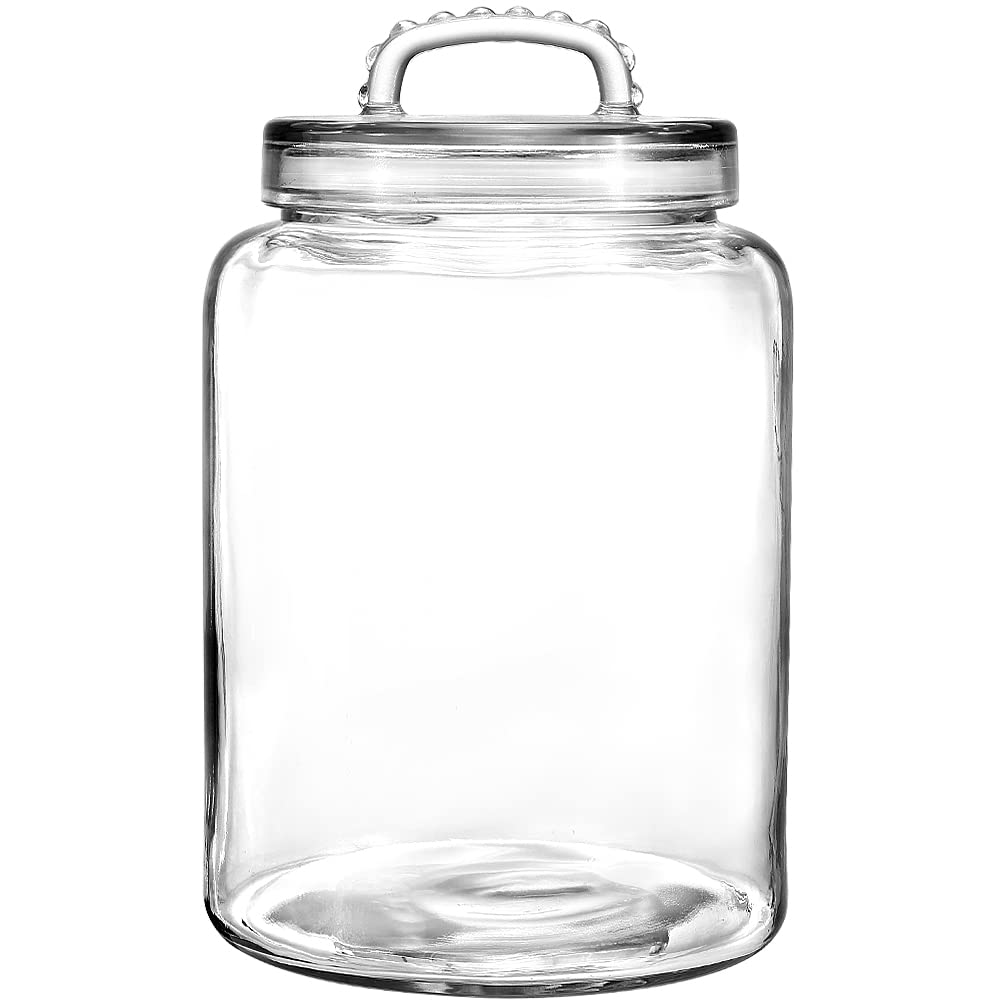 Daitouge 3 Gallon Glass Jar with Lid, Wide Mouth Large Glass Canister with lid, Super Large Cookie Jar for Food Storage, Sugar, 