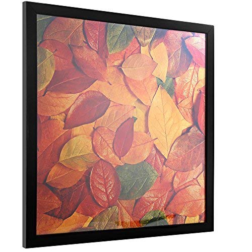 13x13 Picture Frame Display Pictures 13x13 Record Album Frame Wall Hanging Photo Frame Square Album Picture Frame, Black, 1 Pack