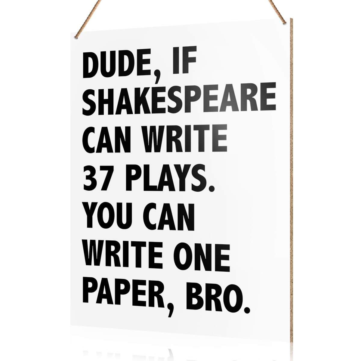 UDNADKEX Funny English Classroom Wall Sign Hanging Decor, High Middle School English Classroom Wooden Decor Writing Decoration, 