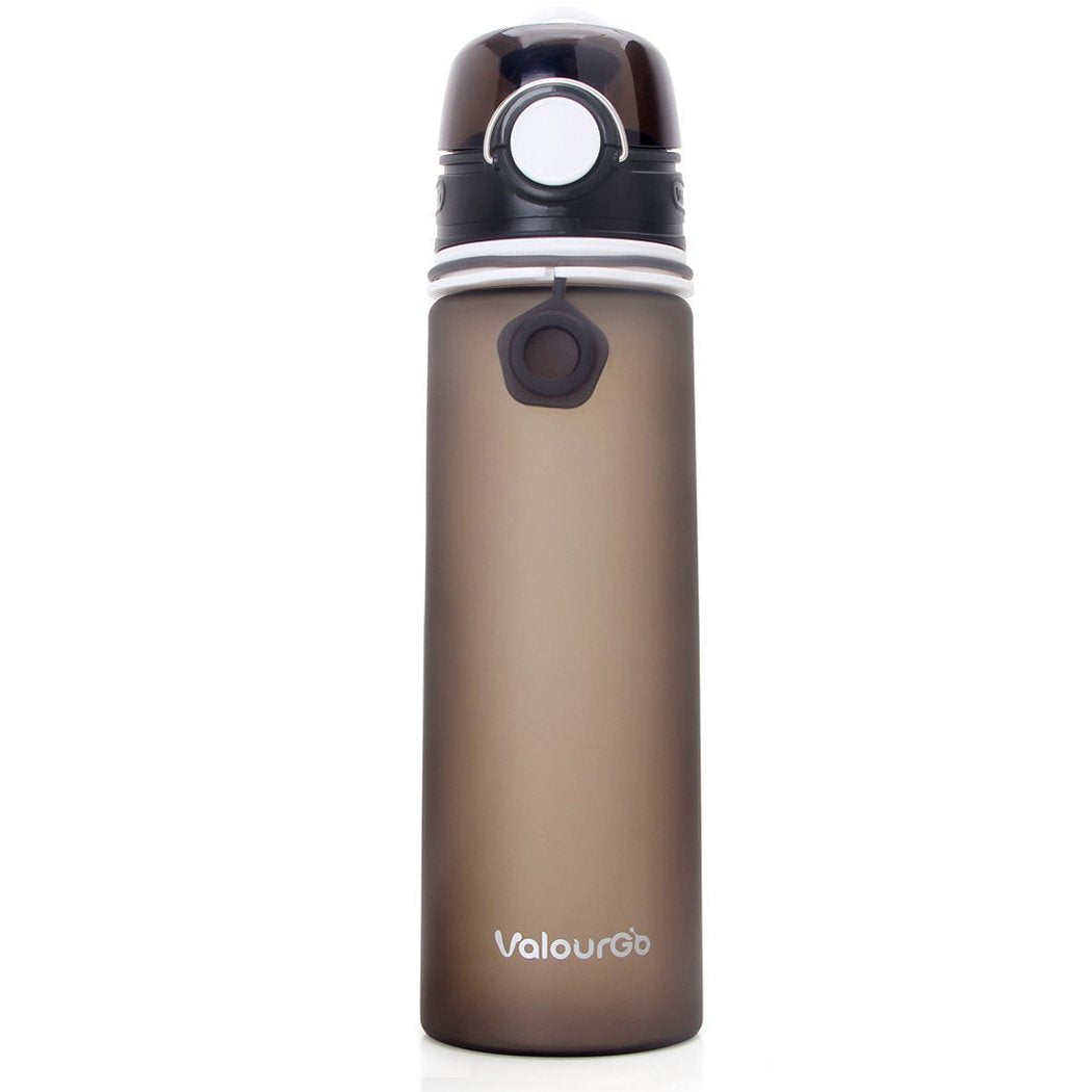 Valourgo Collapsible Water Bottle, Silicone Foldable with Leak Proof Valve BPA Free  gray 21 oz