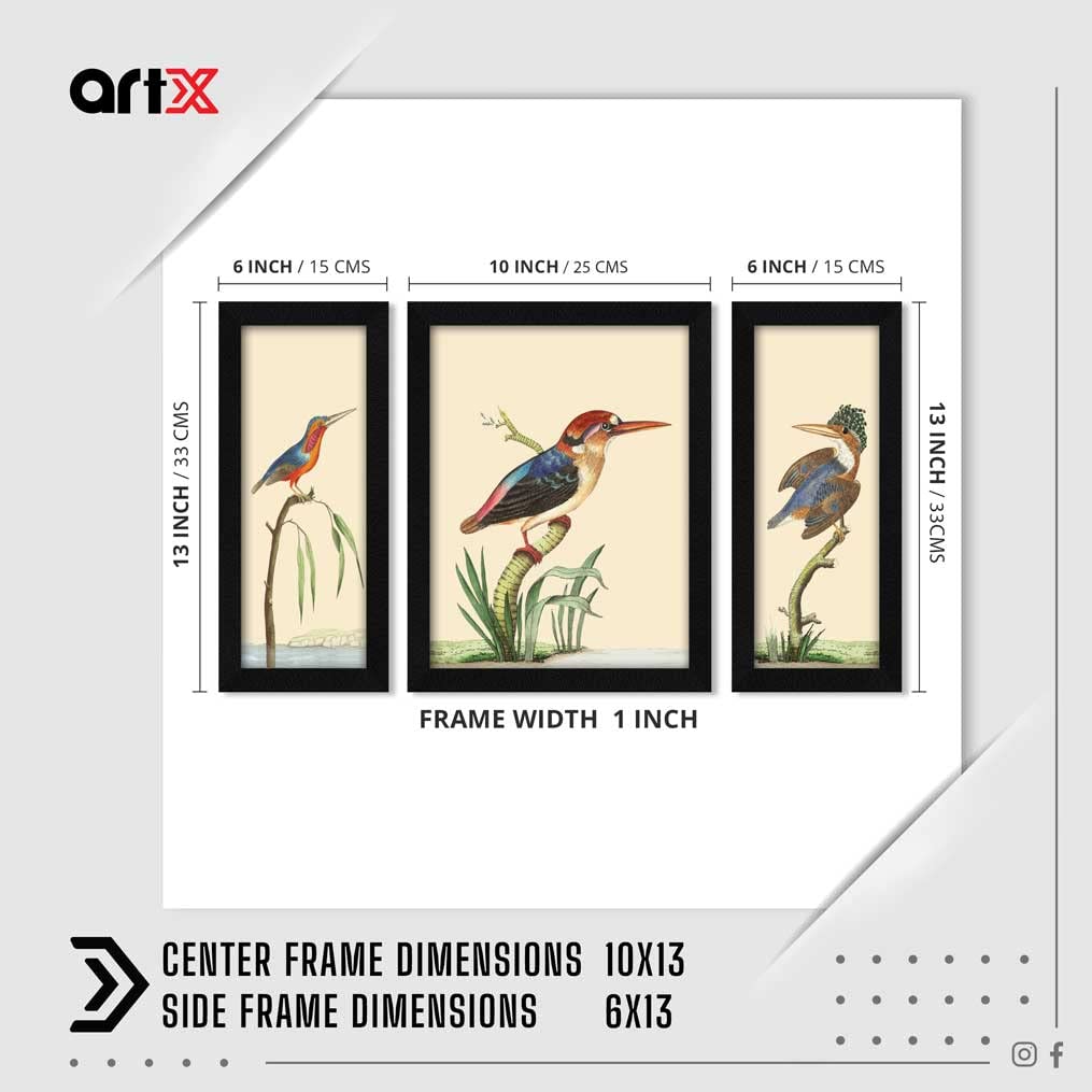 Artx Paper Sea Birds Wall Art Painting, Multicolor, Bird, 13.0 X 22.0 Inches, Set Of 3