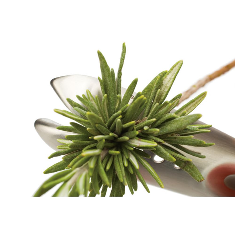 FusionBrands HerbZipper - Assorted Color Herb Stripper, Model 8077-CDU