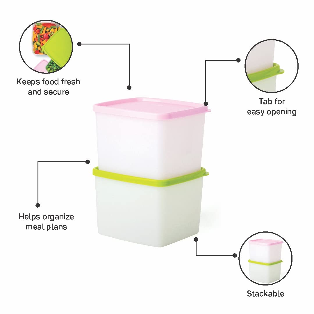 Tupperware Plastic Fridgemate Medium, 800Ml (Set Of 2), Multicolor