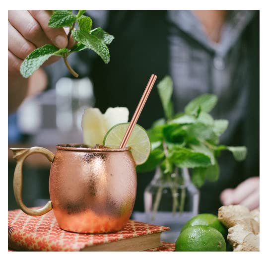 2Activelife Copper Straws, Pure Copper Drinking Straws Gift Set Food Safe 8.5Inch Long Handcrafts Bent And Straight Copper Straw