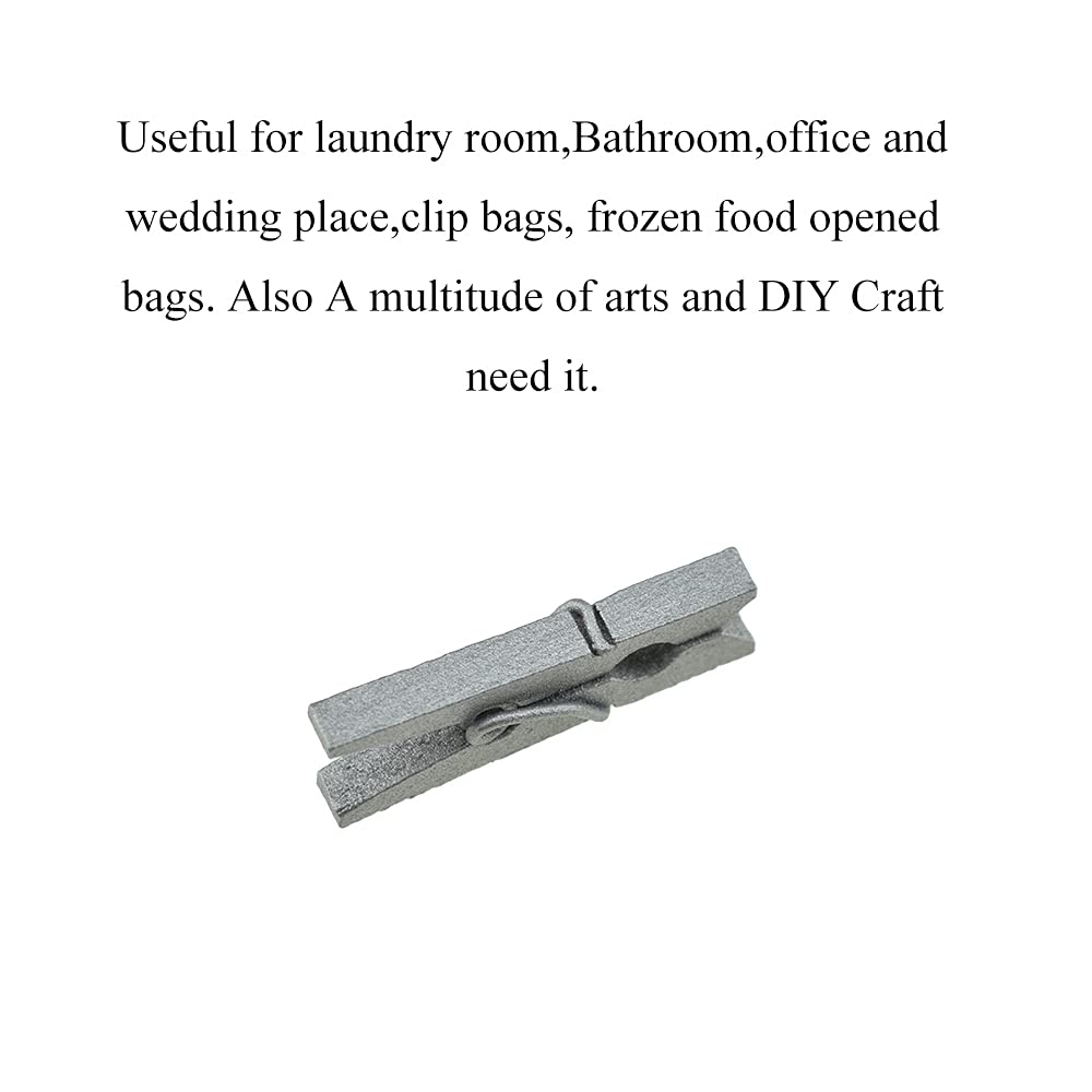 Hahiyo Silver Wooden Clothes Pins Clothespins Mini Do Not Fall Apart 1 Inches Length 80 Pack Sturdy Strong Springs No Rust No Di