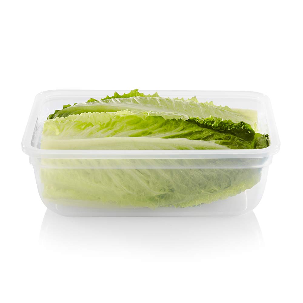 Snapware 6-Pc Plastic Food Storage Containers Set, BPA-Free, Clear, 8.5-Cup Rectangle, Microwave & Freezer Safe, Model 1140530