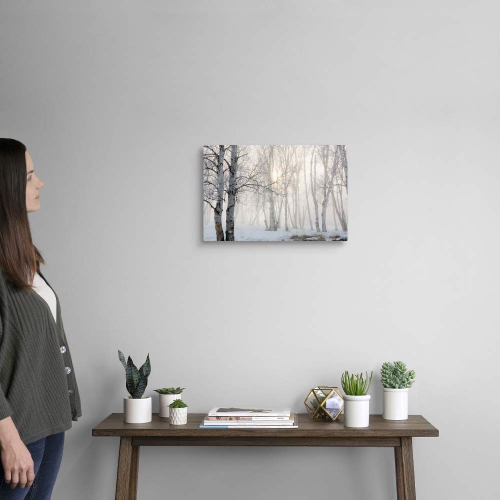 Canvas On Demand Ontario, Canada, Birch Trees In The Fog Canvas Wall Art Print By Susan Dykstra, Home Decor, Winter Artwork, 18'