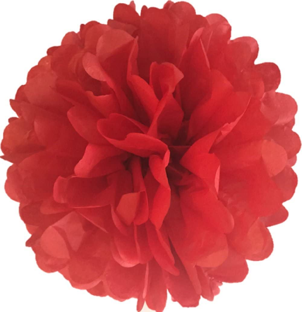 Pack Of 10 Tissue Paper Flower Ball Pom Pom Party Decoration Indoor Outdoor 6'' 8'' 10'' 12'' 14'' (Red, 12'')