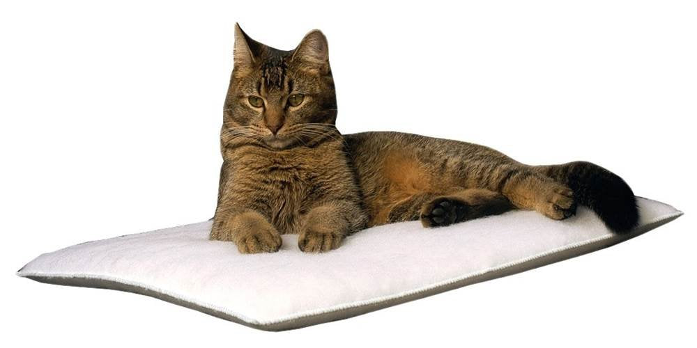 Mysterious Purr Padd Cat Cushion, Charcoal, 2 Cushion/Set