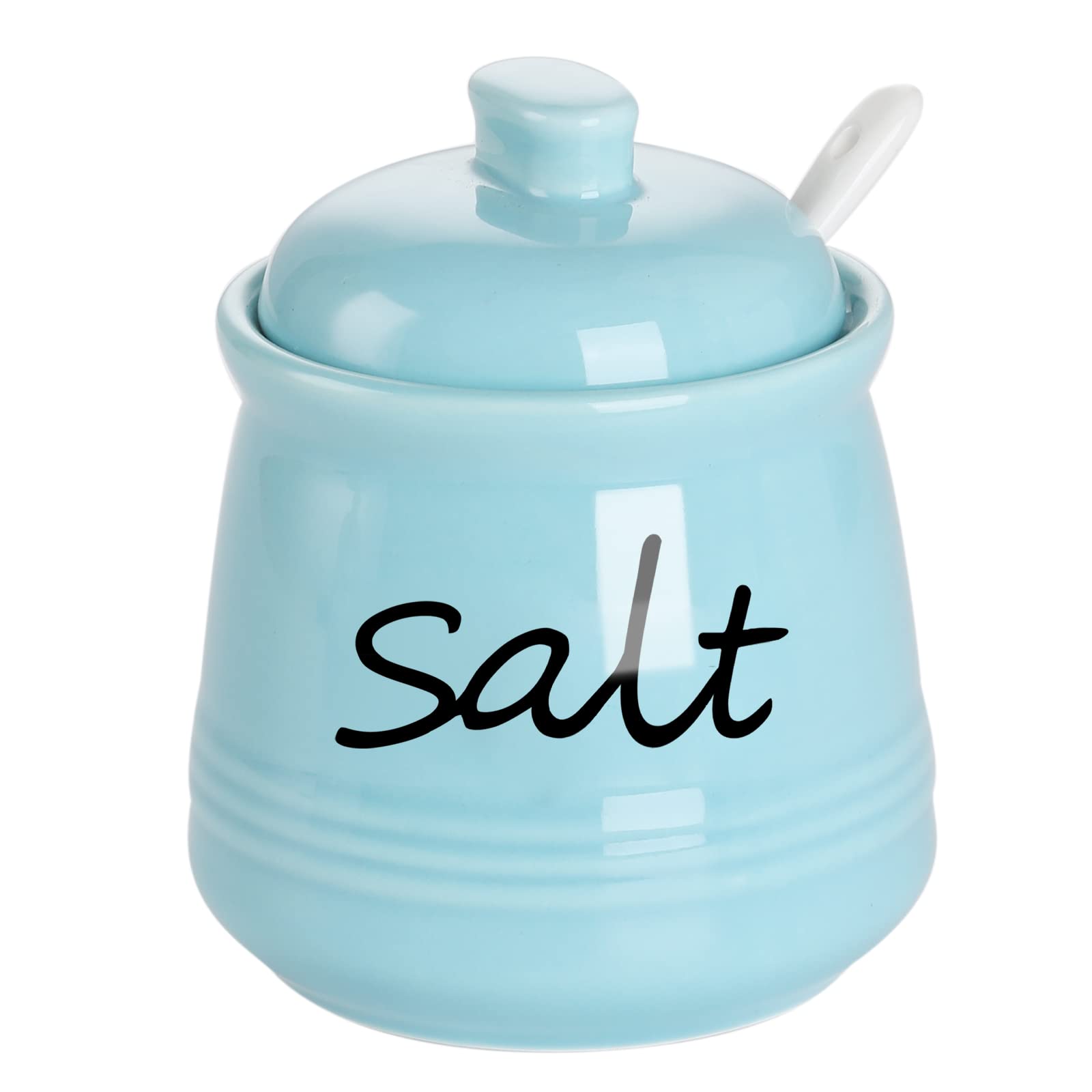 ONTUBE Ceramic Salt Bowl with Lid and Spoon 12oz (Turquoise)