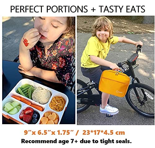 Bento-Box With Bag And Ice Pack. Lunch Boxes Snack Containers For Kids Boys Girls Adults. 6 Compartments, Leakproof Portion Cont