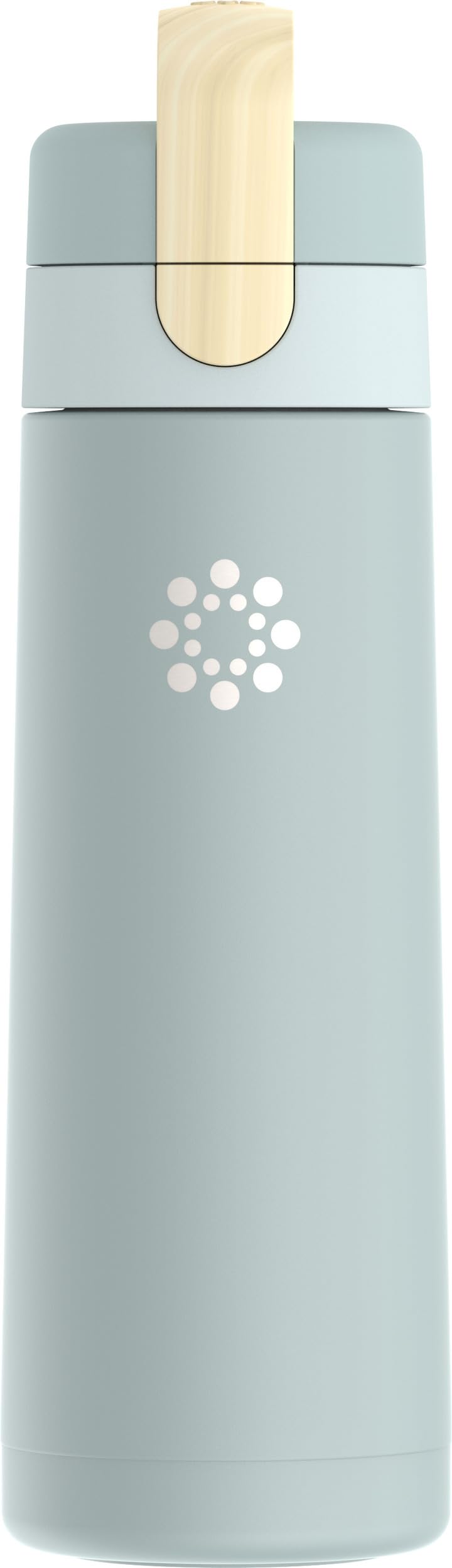 Lifefactory 20oz Stainless Steel Hydration Bottle with Spout Cap  Mint