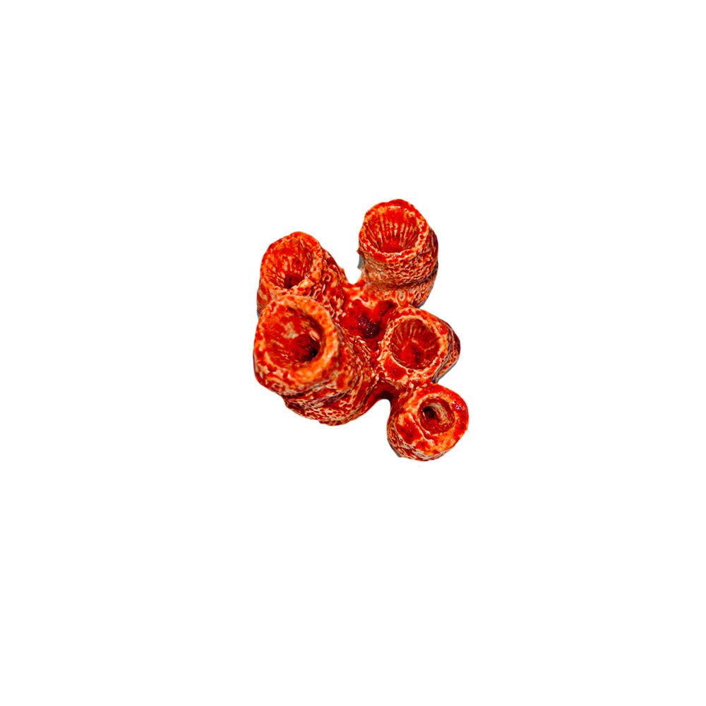Coral Silicone Mold S142 By First Impressions Molds