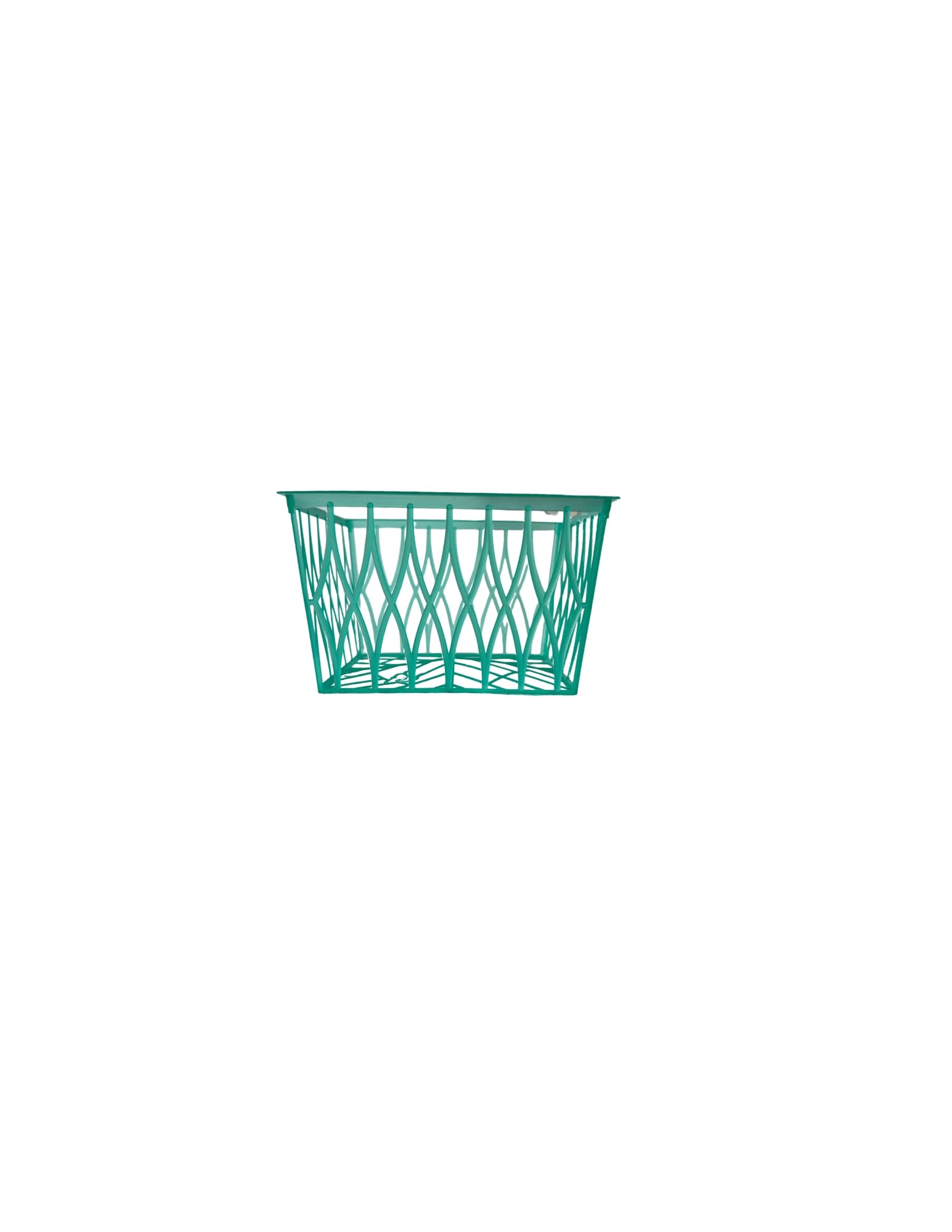 Plastic Berry Baskets Pint Size For Crafts Gifts Summer Picking And Farm Stand Sales (48)