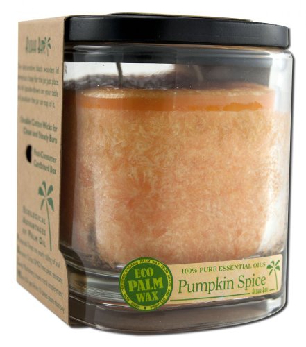 Palm Wax Candle Pumpkin Spice Orange Aloha Bay 8 oz Glass Jar
