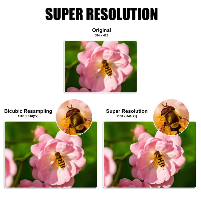 Custom High-Resolution Poster Prints Upload Your Image Photo Personalized Photo to Poster Printing  Self-Adhesive Odorless Durable and Waterproof  Home Decor Wall Art Prints(Unframed 810)