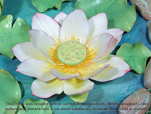 Lotus And Water Lily Pad Cutter Set By Wsa