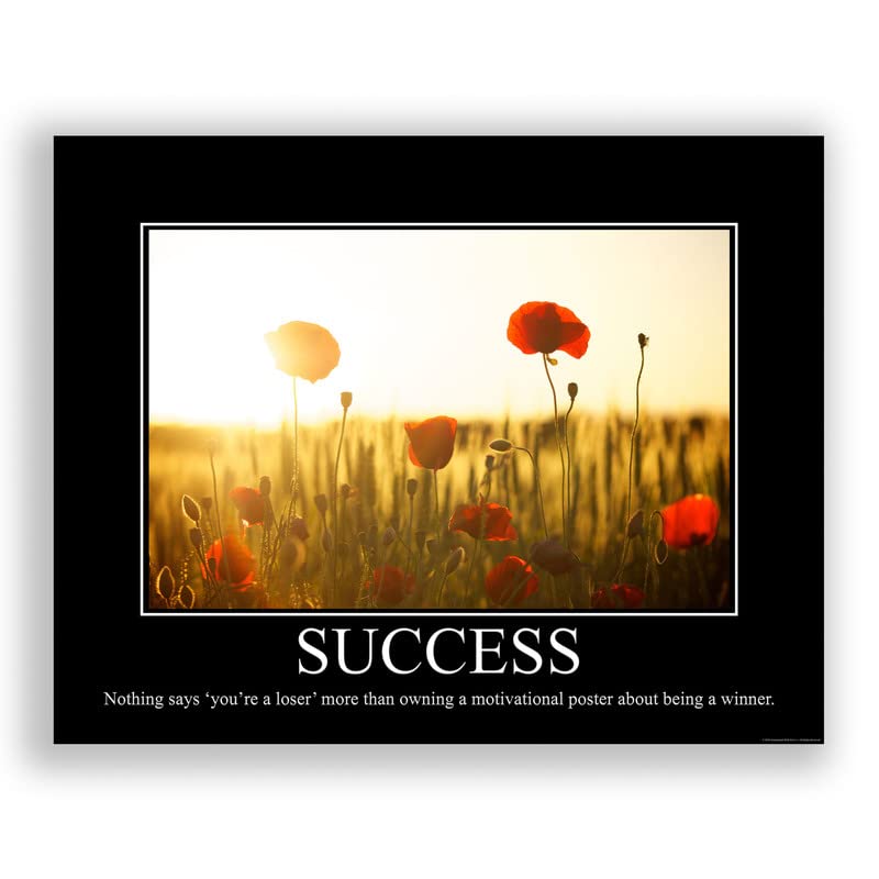Success Demotivational Poster Ironic Snarky Funny Sarcastic Office Wall Decor Art Print 11X14 Inches Unframed