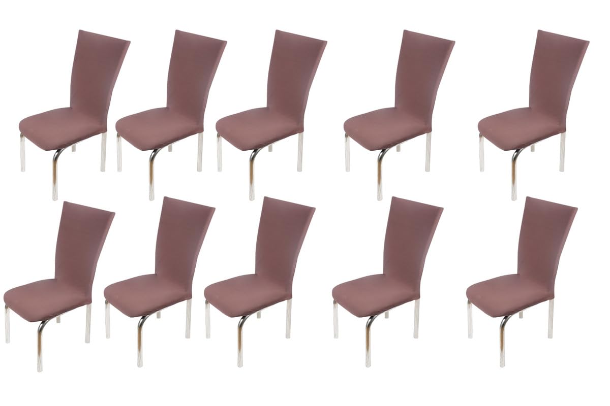 The Furnishing Tree Polyester Spandex Chair Cover Washable Stretchable Coffee Set Of 10