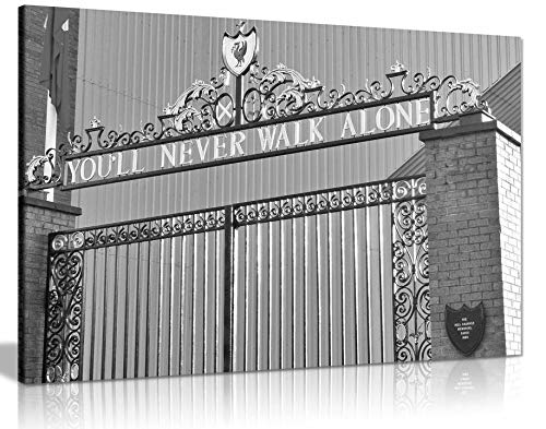 Liverpool Fc You'Ll Never Walk Alone Canvas Wall Art Picture Print Home Decor (30X20)