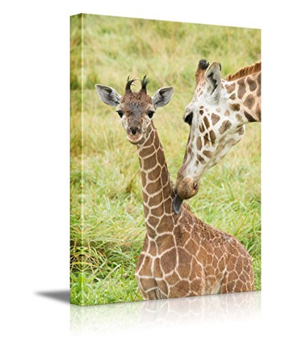 Wall26 - Wild Animals Canvas Prints Series -Giraffes | Stretched And Ready To Hang - 16''X24''