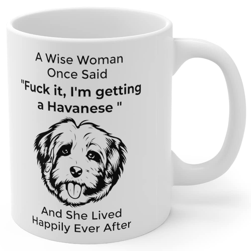 Funny Havanese Gifts For Women Dogs Lovers Dog Mom Mug Mother 'S Day 2024 Christmas Gift Fun Wise Woman Once Said Coffee Cup Whi