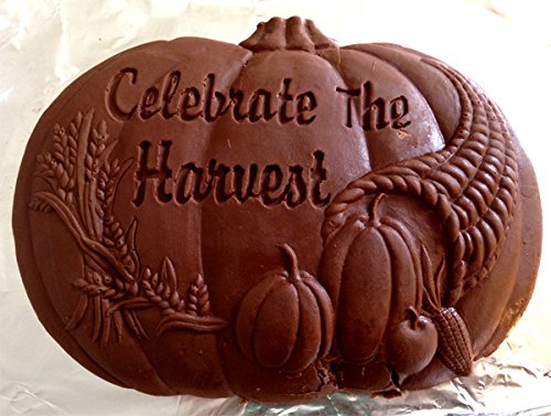 Composimold Food Contact Safe 10 Ounce. Reusable Molding Material, Re-Heat To Re-Use