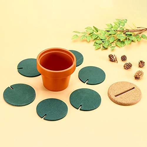 Brccee AC 6-Piece Green Coaster Cactus Set with Flower Pot Shaped Holder for Drinks Coffee Cup (Pure Green)