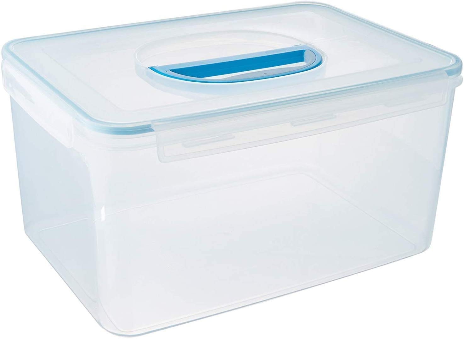 Komax Biokips Big Size Airtight Food Storage Container With Handle (Large, 48.6 Cup, Clear)