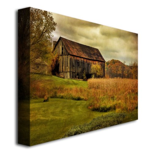Old Barn On Rainy Day By Lois Bryan, 22X32-Inch Canvas Wall Art