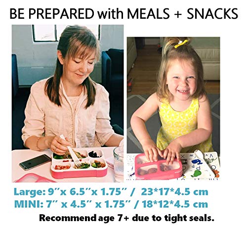 Bento Lunch Box And Mini Snack Container Set For Kids Women | Small And Large Leakproof Boxes For Lunches At Work School Daycare