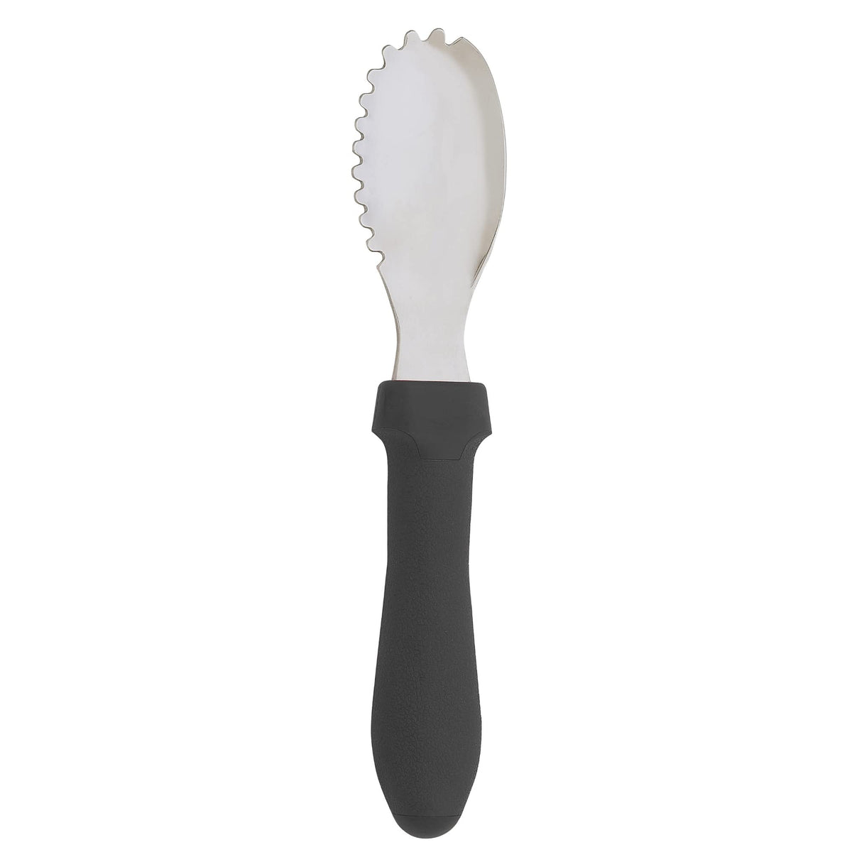 Messermeister Pro-Torch Plus Culinary Scoop & Scraper - Multi-Purpose Tool To Remove Seeds, Pulp & More - Aisi420 Stainless Stee