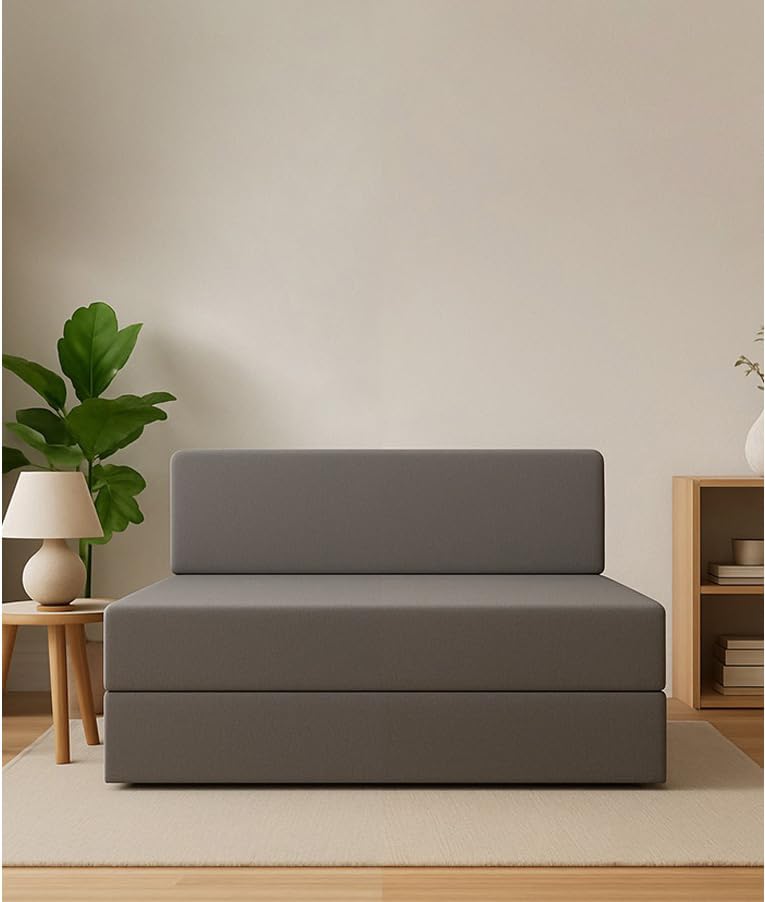 Adorn India Easy Decent 2 Seater Sofa Cum Bed 4X6 (Grey)