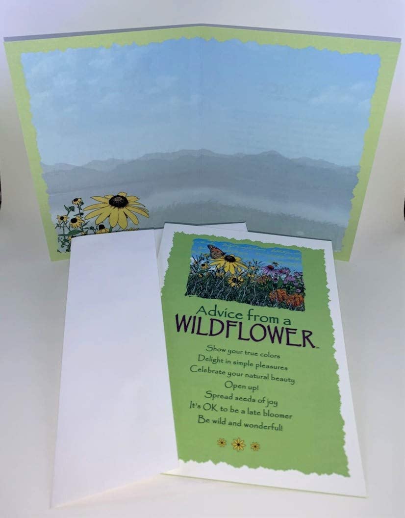 Your True Nature 12 All Occasion Greeting Card Playful Set - Advice From A Sloth, Llama, Cat, Dolphin, Bee, Penguin, Sea Turtle,
