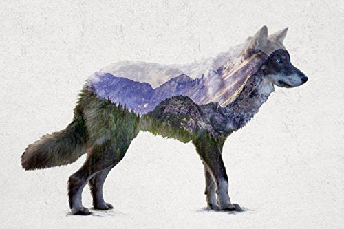 Rustic Double Exposure Elk, Bison, Wolf And Bear Landscape Set; Cabin Lodge Decor; Four 10X8In Brown Framed Prints; Ready To Han