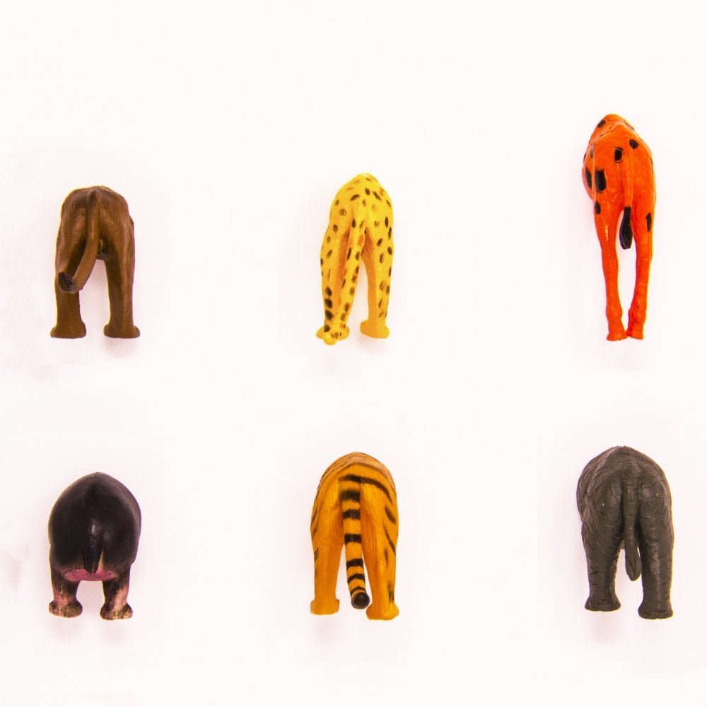 Kikkerland Safari Animal Butt Magnets, Set Of 6 (Mg23)