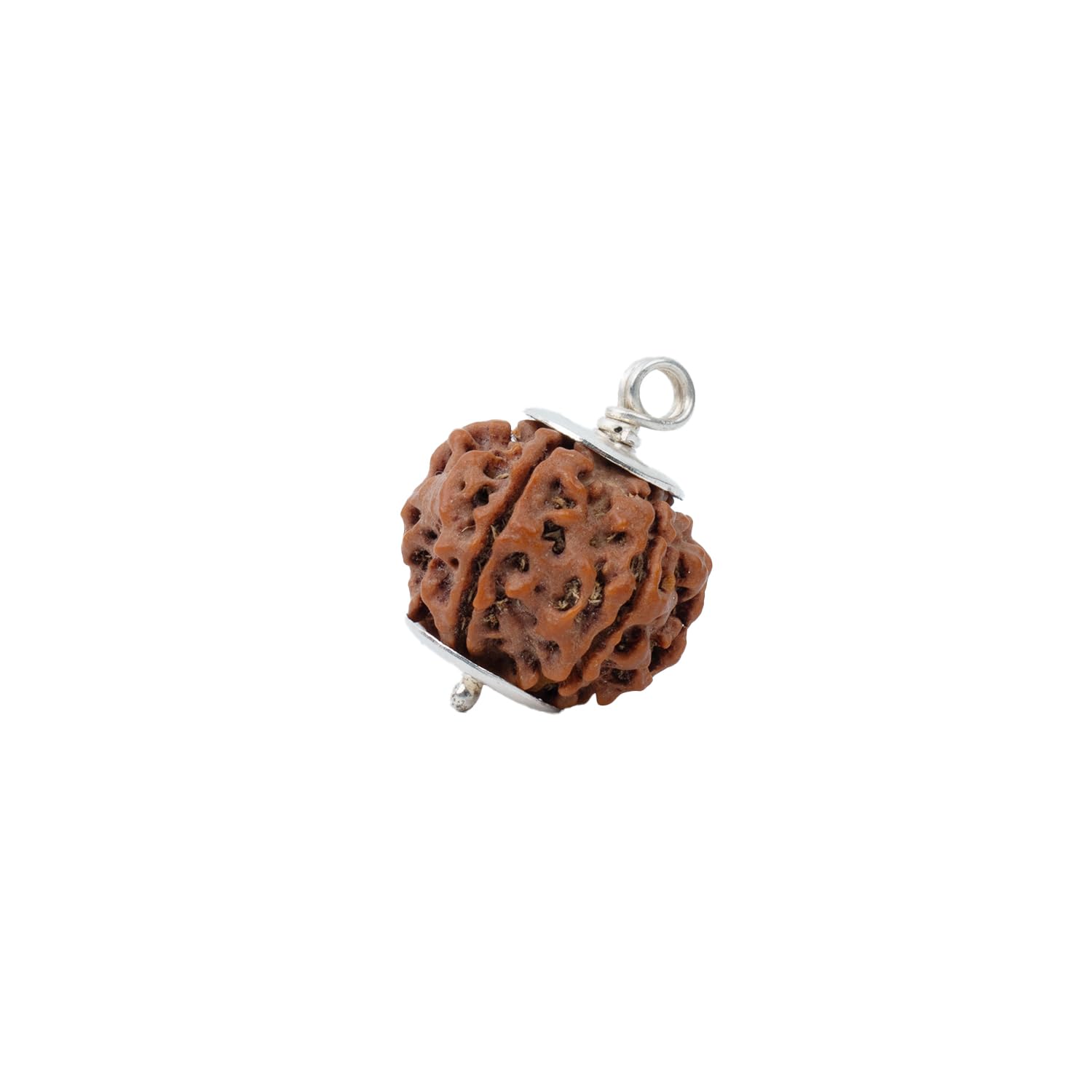 Astrotalk Nepal Origin 6 Mukhi Rudraksha with Silver-Capping | Boost Focus & Confidence | Mental Clarity, Willpower & Success | Sacred Rudraksha Bead for Women & Men